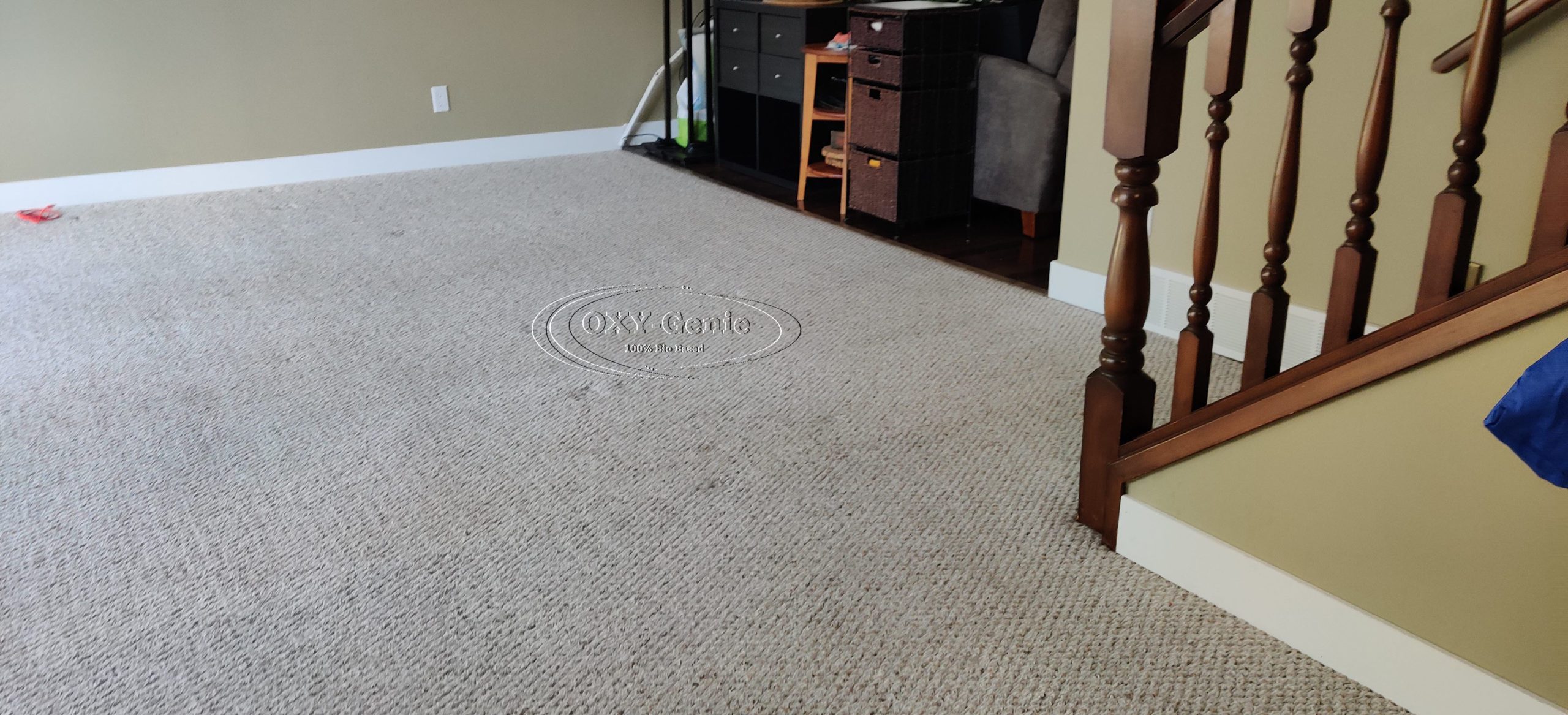 Clean Carpet in Calgary Alberta