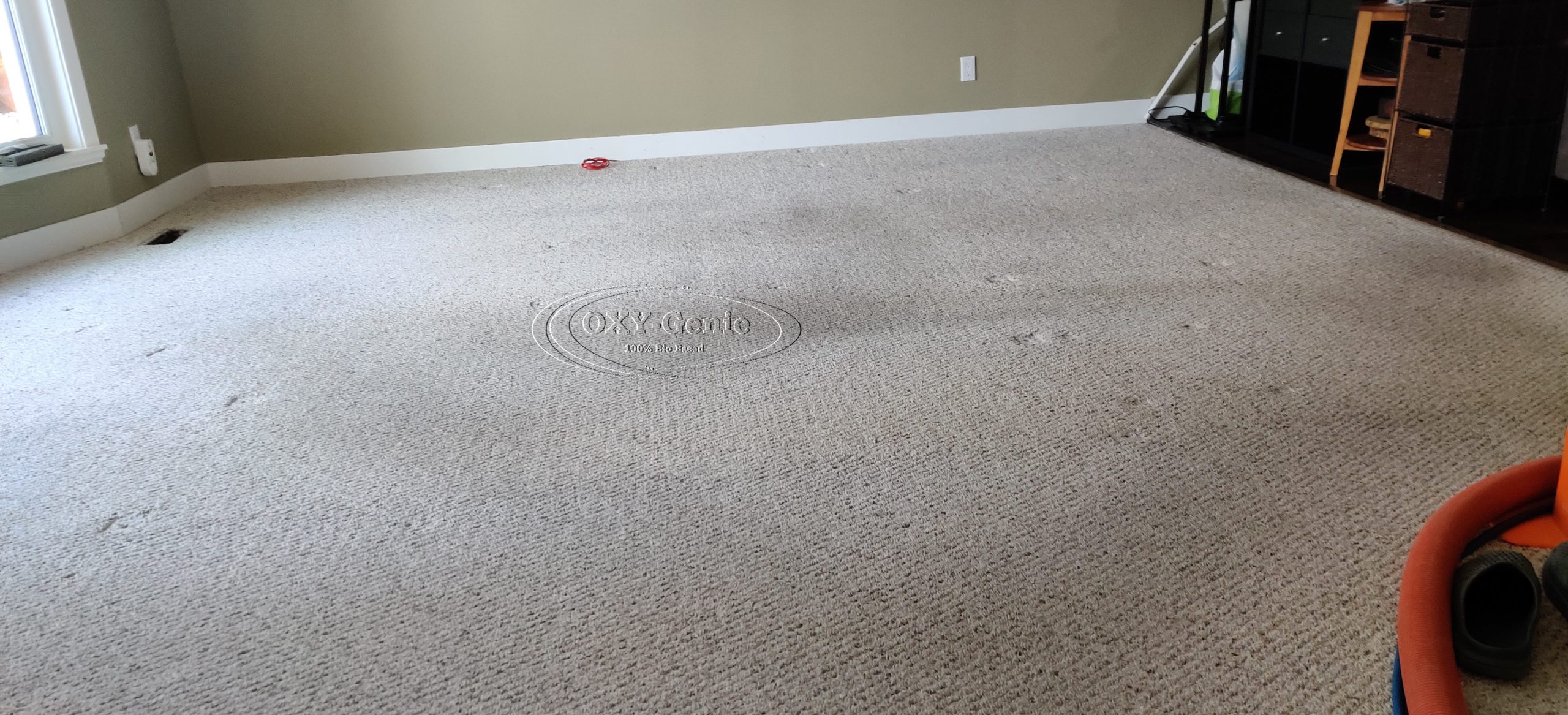 Fine Carpet Cleaning Before in Calgary
