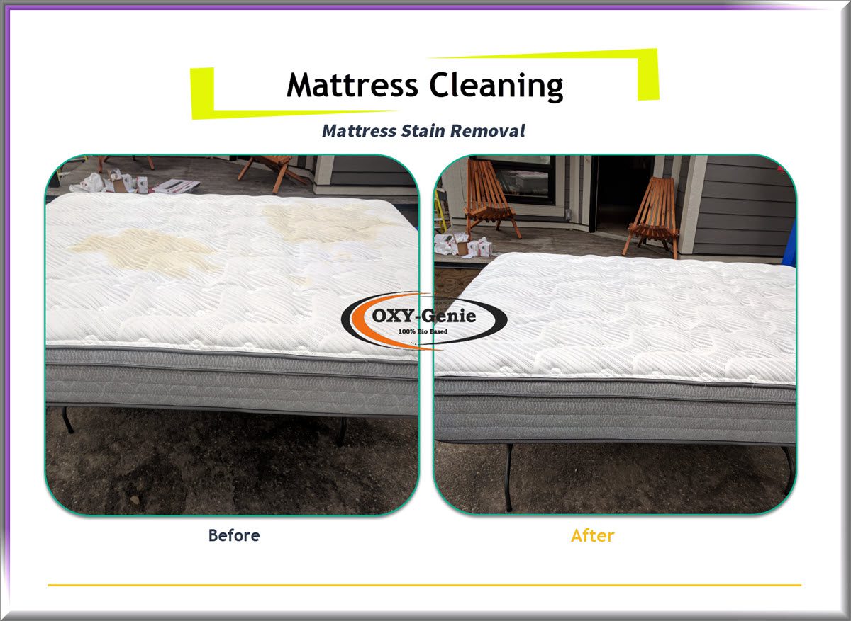 Mattress Cleaning Calgary