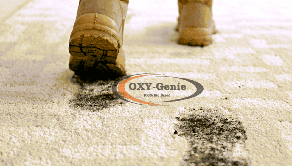 Best Commercial Carpet Cleaning In Calgary OxyGenie