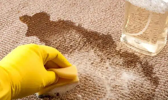 Calgary carpet coffee stain cleaning