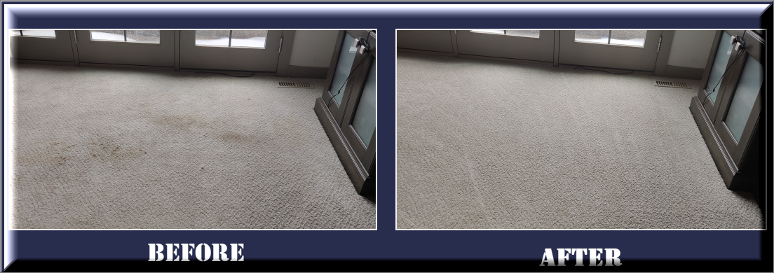 Cleaning of Carpet in Airdrie, Alberta, Removing Pet Stains