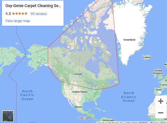 Oxy-genie Carpet Cleaning Calgary