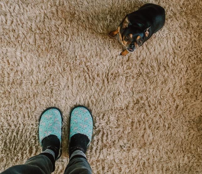 Strathmore-Carpet-Pet-Stains-Removal
