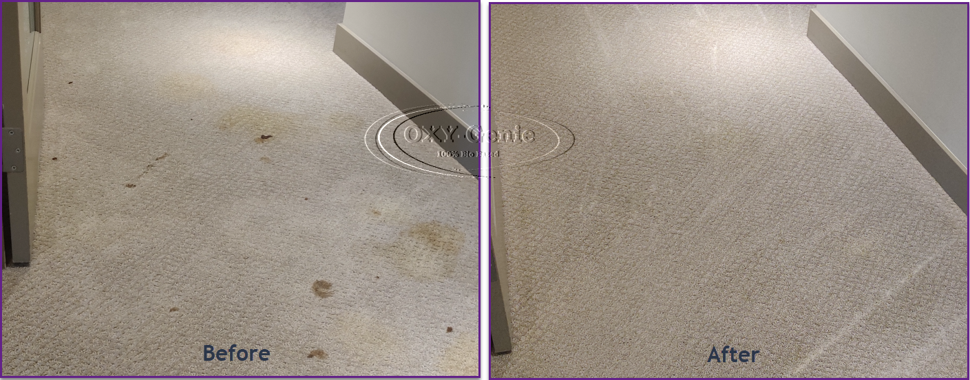 High River Carpet Cleaning Services