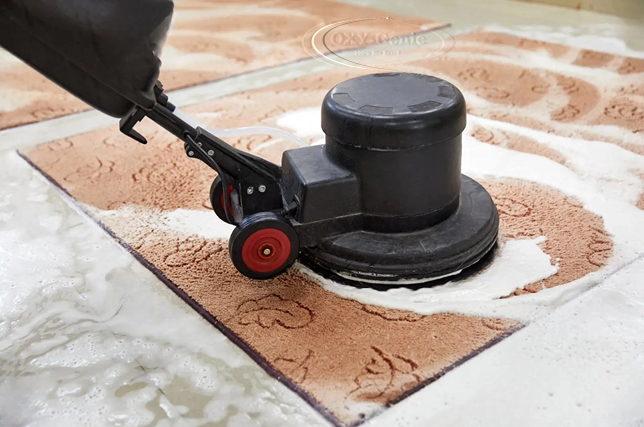 Truck Mount Carpet Steam Cleaning Service