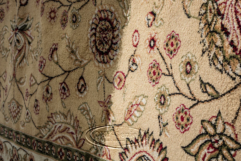 Professional Rug Cleaning Services in Calgary Professional Cleaning Services in Calgary