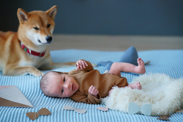 Baby Safe Cleaning Services in High River Baby Safe Cleaning Services in High River