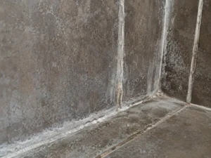 Close-up of hard water mineral deposits and white limescale buildup on Calgary bathroom tile and grout lines.